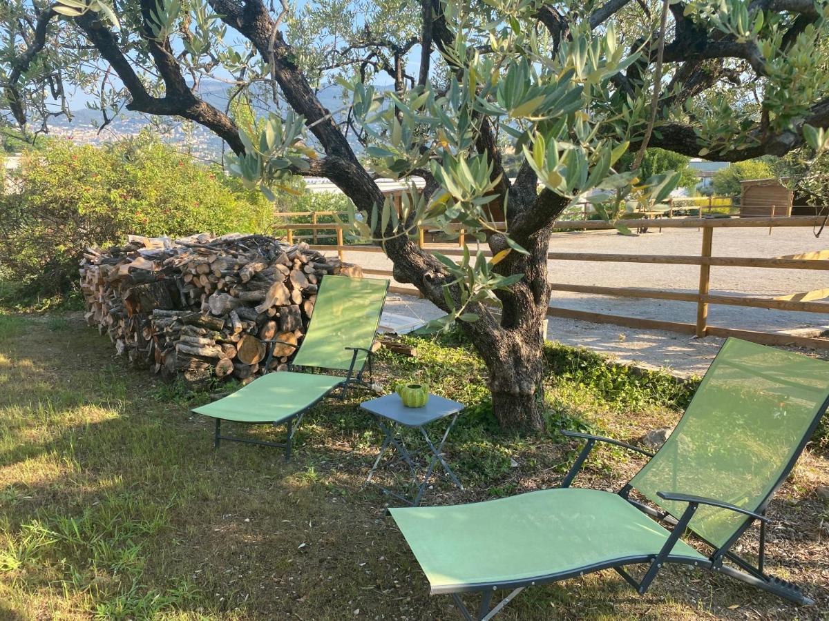 La Bastide De Jean Maison De Charme Dans Un Domaine Equestre Prive Грас Екстериор снимка